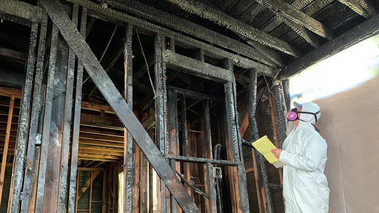 Mold inspection in Hollywood FL