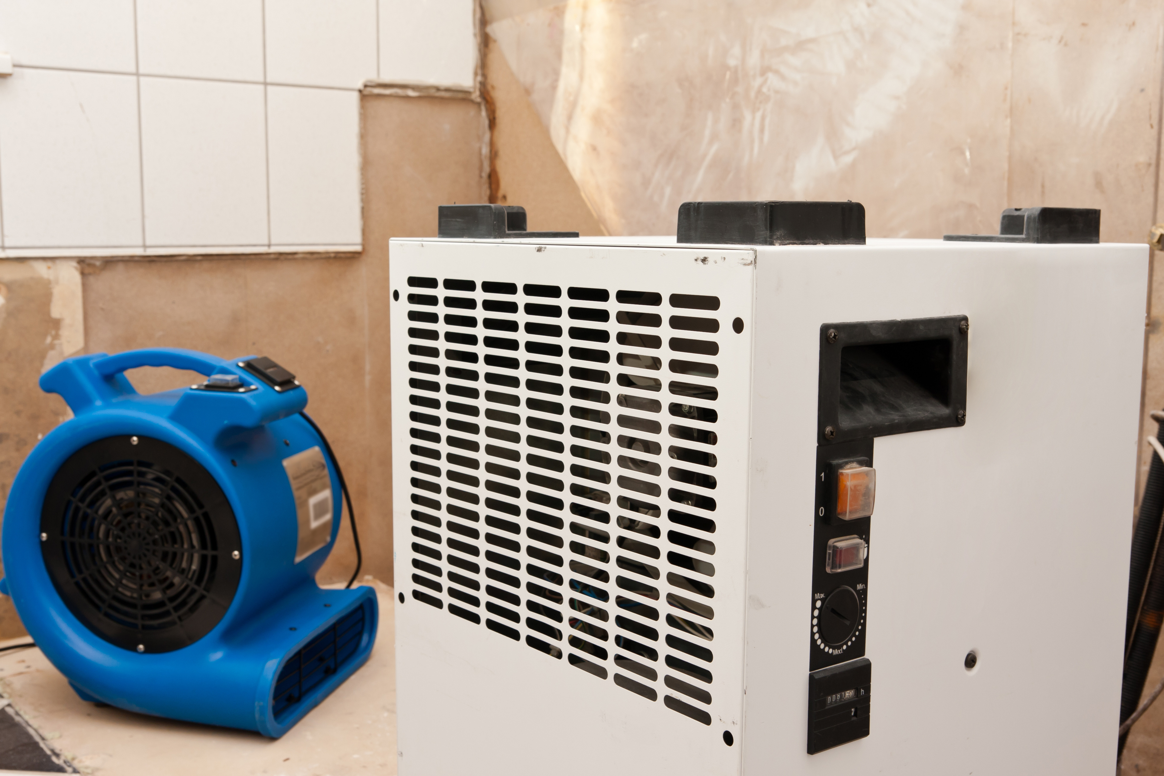 Homeowner reacting to a persistent musty smell before scheduling a mold inspection
